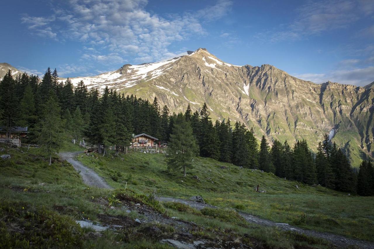 M1 - Mountain Living